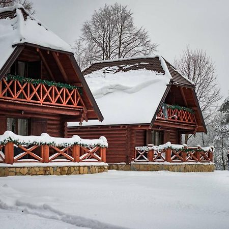 Brvnare Park Borova Villa Zlatibor Dış mekan fotoğraf