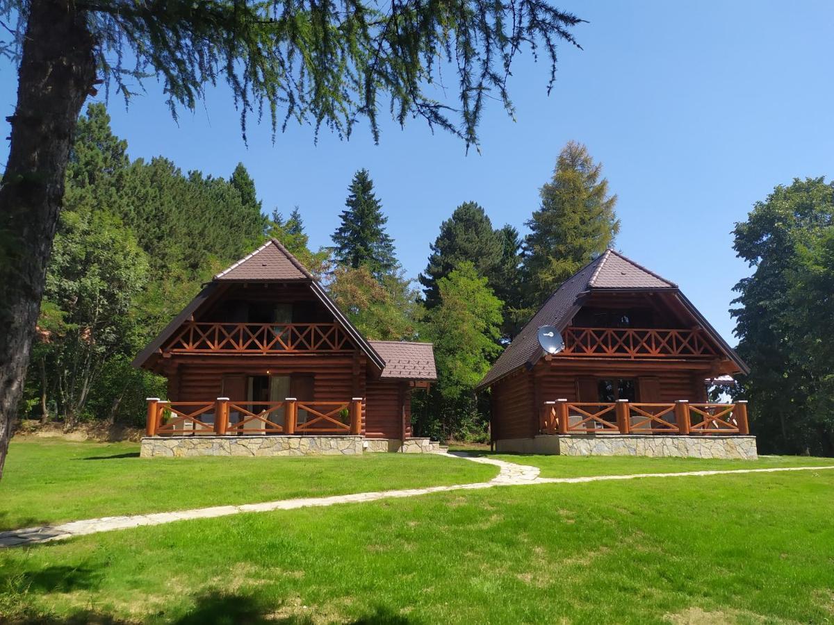 Brvnare Park Borova Villa Zlatibor Dış mekan fotoğraf