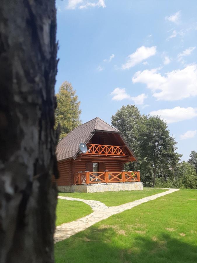 Brvnare Park Borova Villa Zlatibor Dış mekan fotoğraf