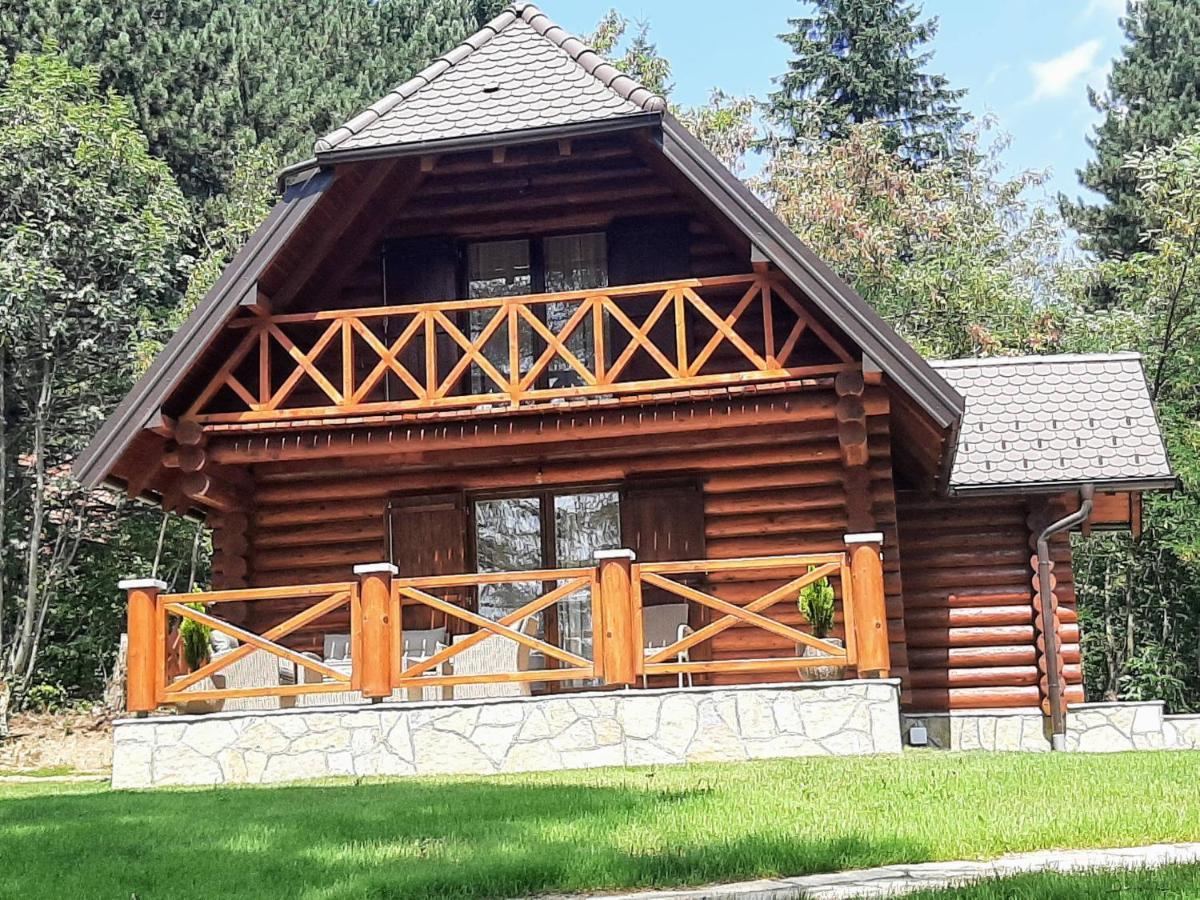 Brvnare Park Borova Villa Zlatibor Dış mekan fotoğraf