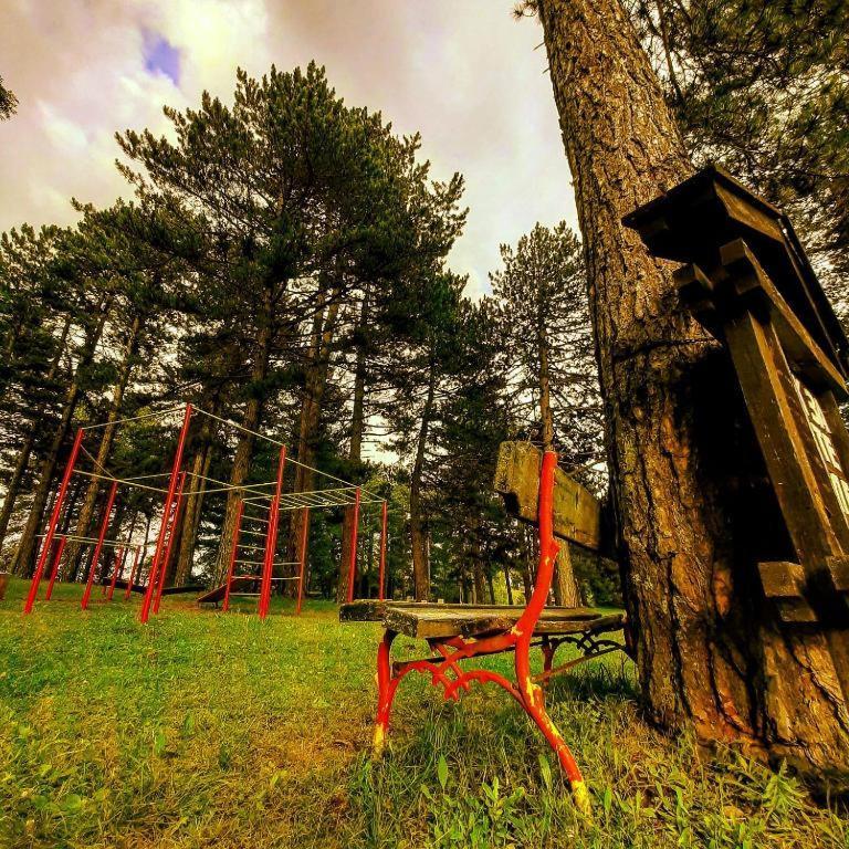 Brvnare Park Borova Villa Zlatibor Dış mekan fotoğraf