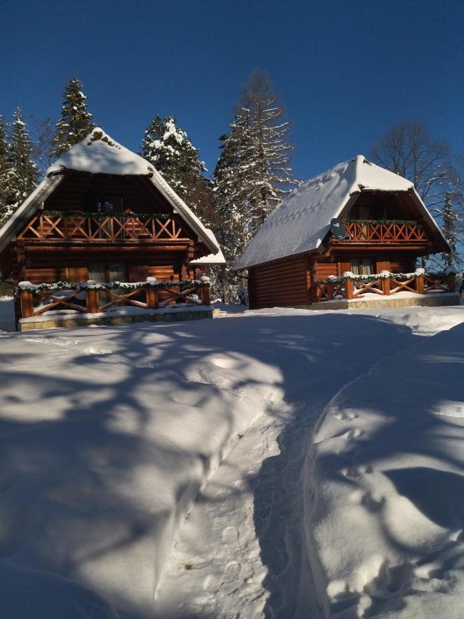 Brvnare Park Borova Villa Zlatibor Dış mekan fotoğraf