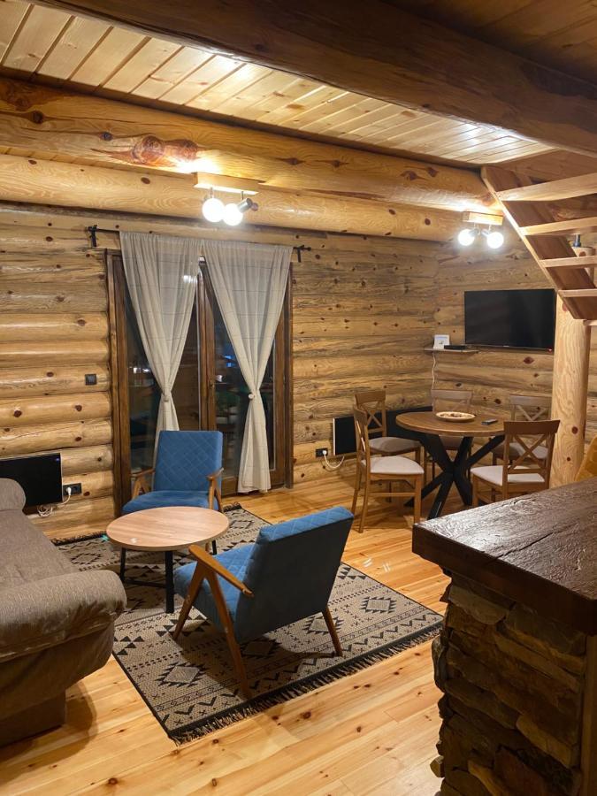 Brvnare Park Borova Villa Zlatibor Dış mekan fotoğraf