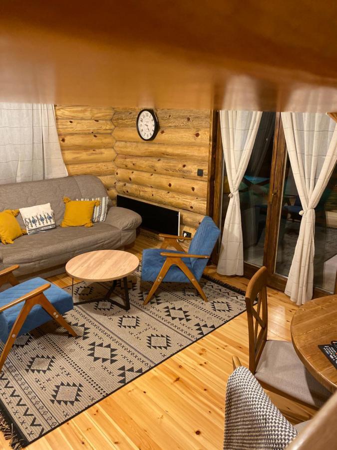 Brvnare Park Borova Villa Zlatibor Dış mekan fotoğraf