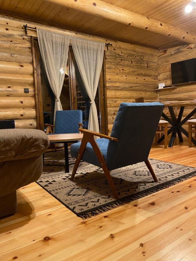 Brvnare Park Borova Villa Zlatibor Dış mekan fotoğraf
